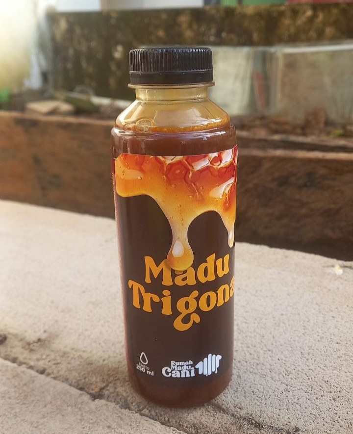 Mengapa Madu Trigona Memiliki Nilai Kesehatan yang Tinggi?